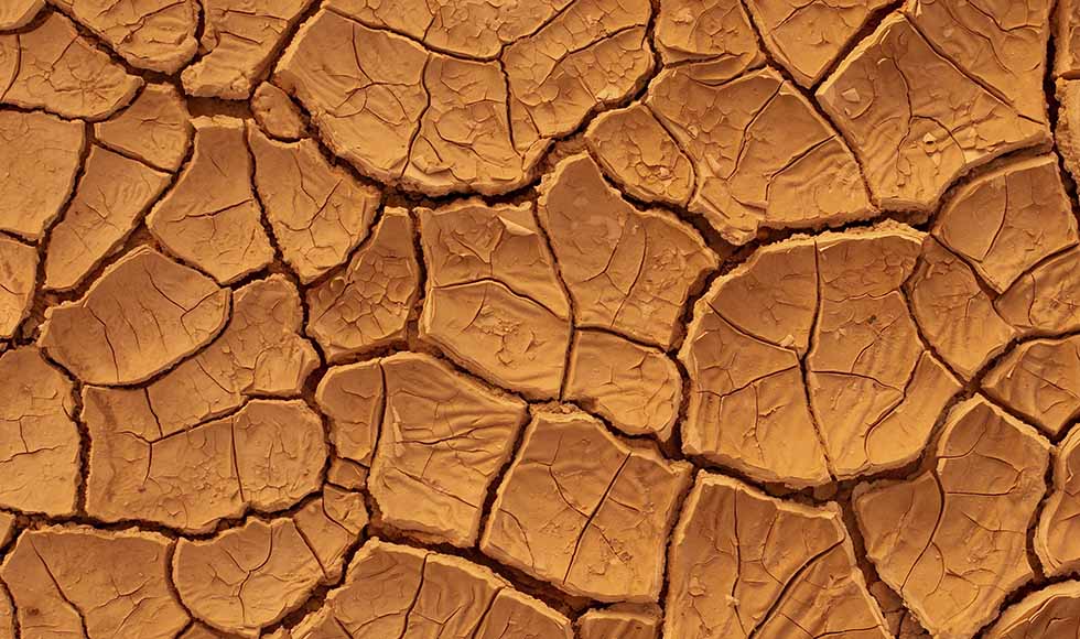 Why is my skin dry thumb