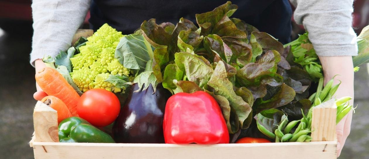 Box of leafy vegetables with red vegetables