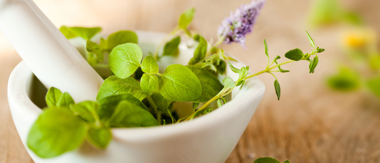 Naturopathy – an untapped health resource