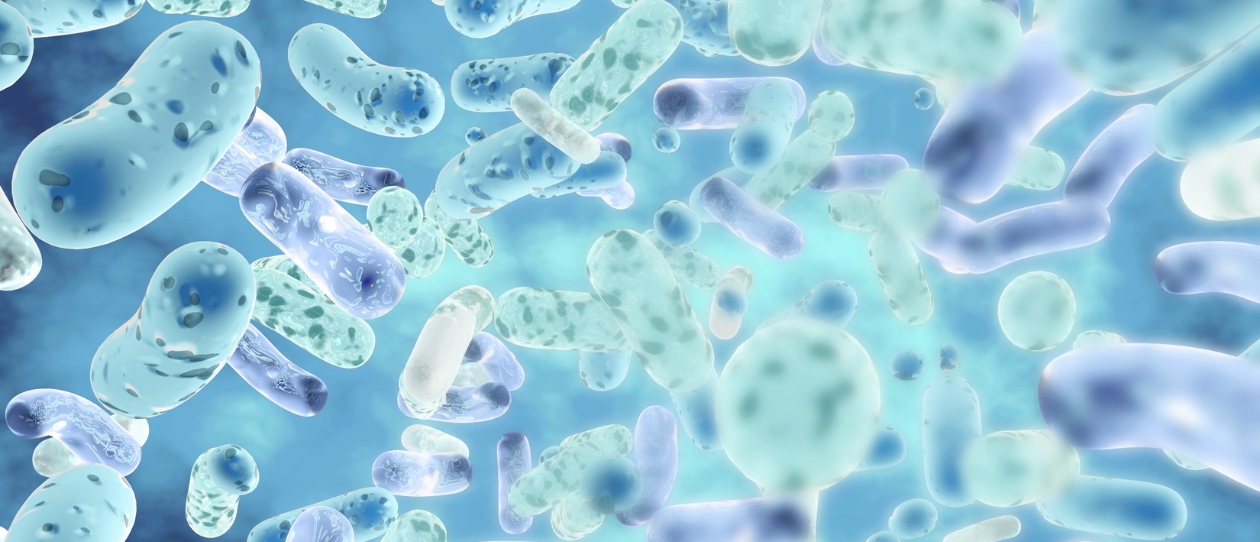 Lactobacillus and bifidobacterium probiotics