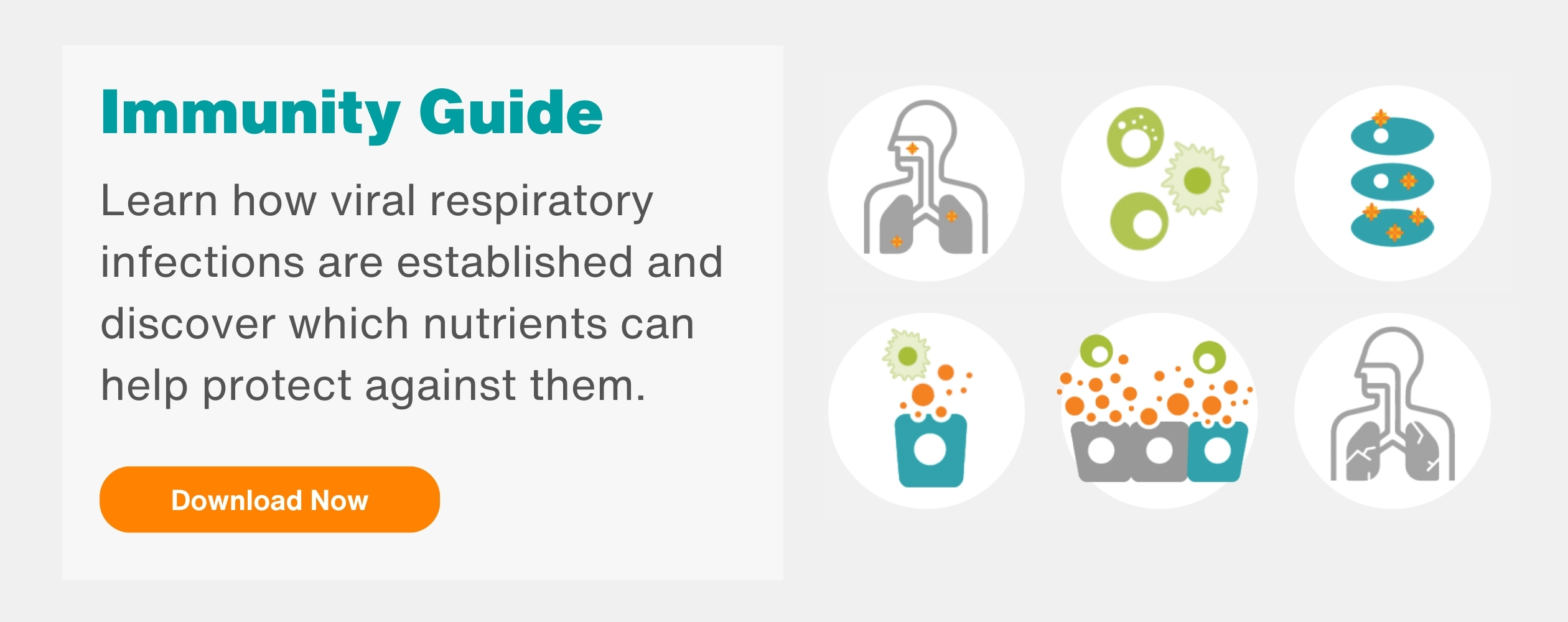 BI_Rotating_Banner_Immunity_Guide_2520x1000