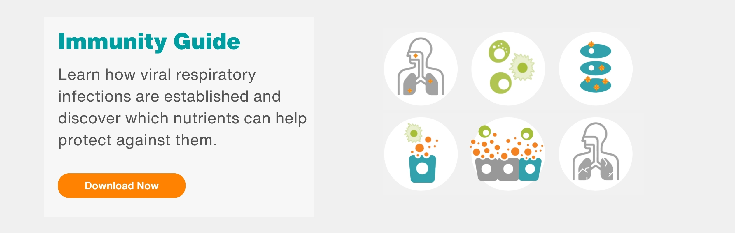 BI_Rotating_Banner_Immunity_2520x800