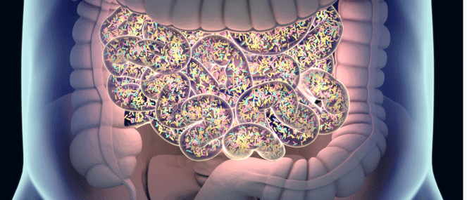 Constipation condition factsheet