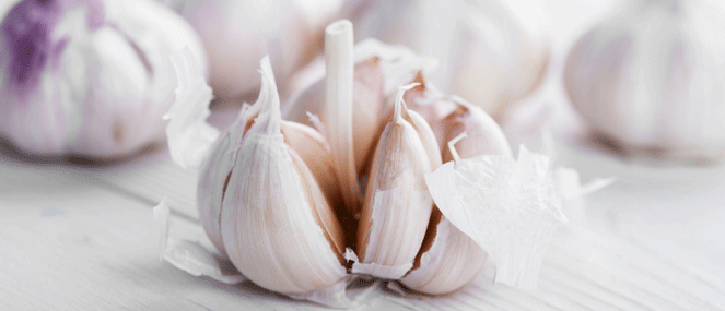 Garlic complementary medicine ingredient