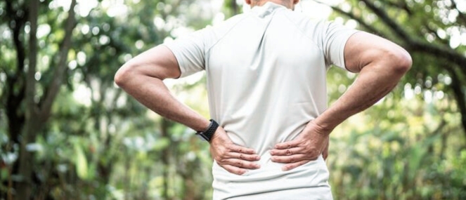 Complementary medicines for the management of joint and back pain