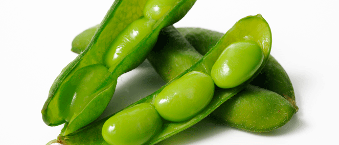 Soy complementary medicine ingredient