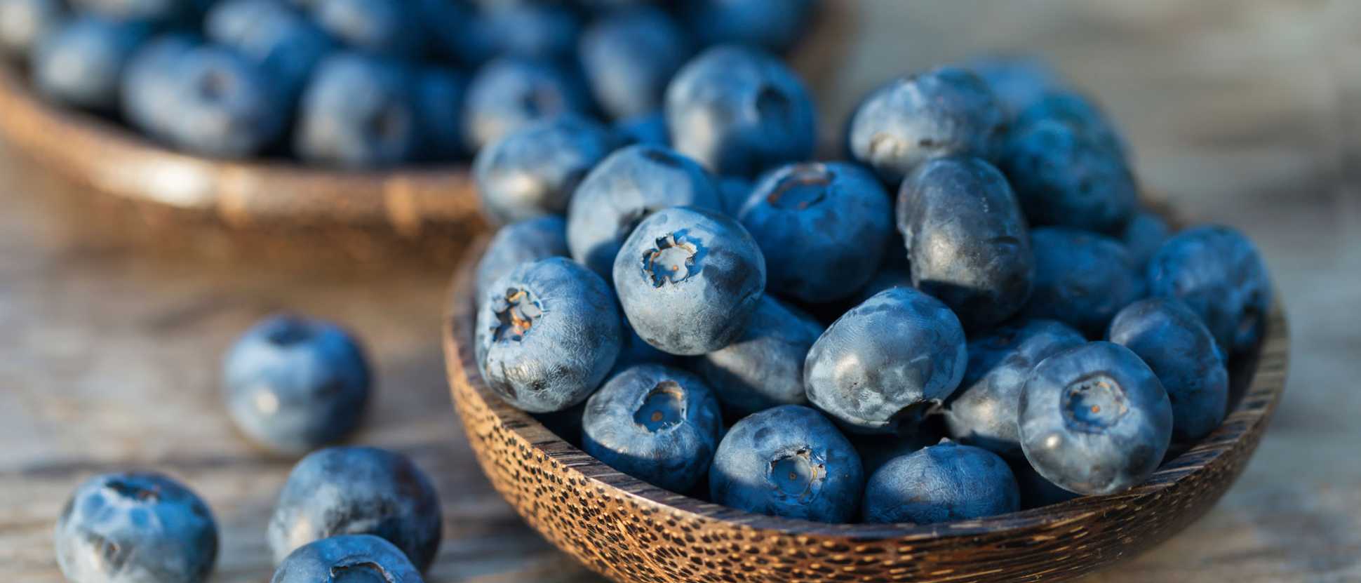 160331-Blueberries-the-well-known-super-fruit-could-help-fight-Alzheimersjpg