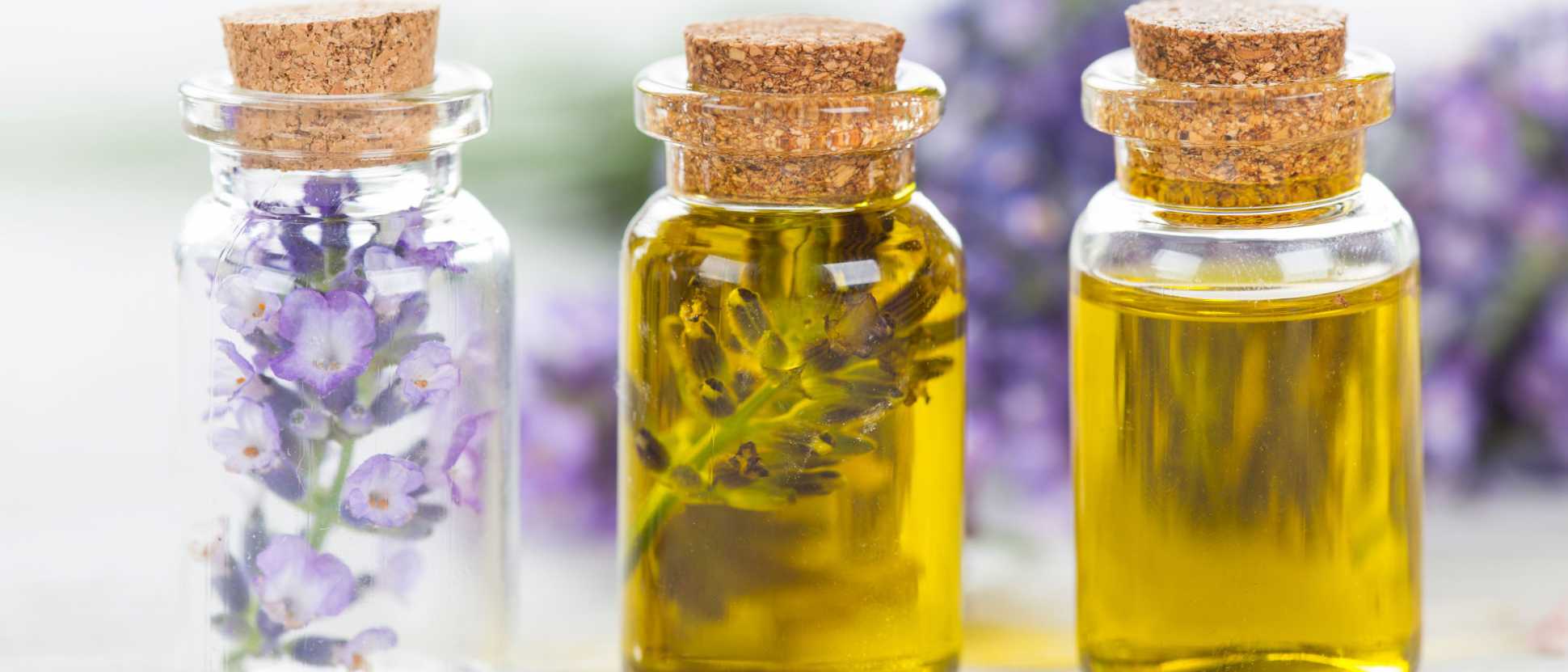 160602-Topical-lavender-oil-promotes-wound-healingjpg