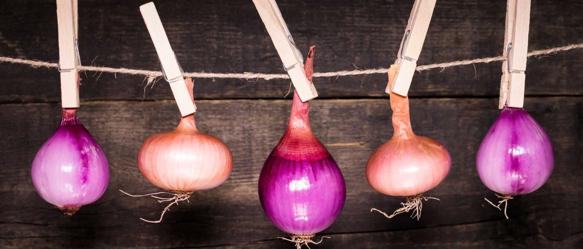 161201-Onion-compound-supresses-cancerjpg