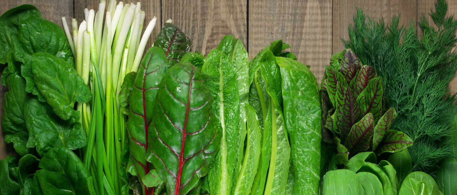 1705_Tile001_20July_1290x823_LeafyGreenjpg