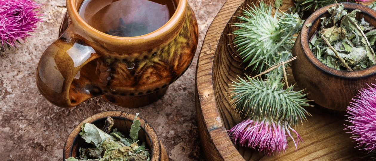 Milk thistle (Silybum marianum)