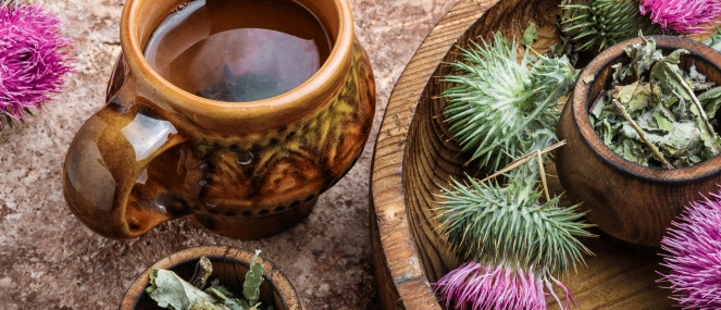 Milk thistle (Silybum marianum)