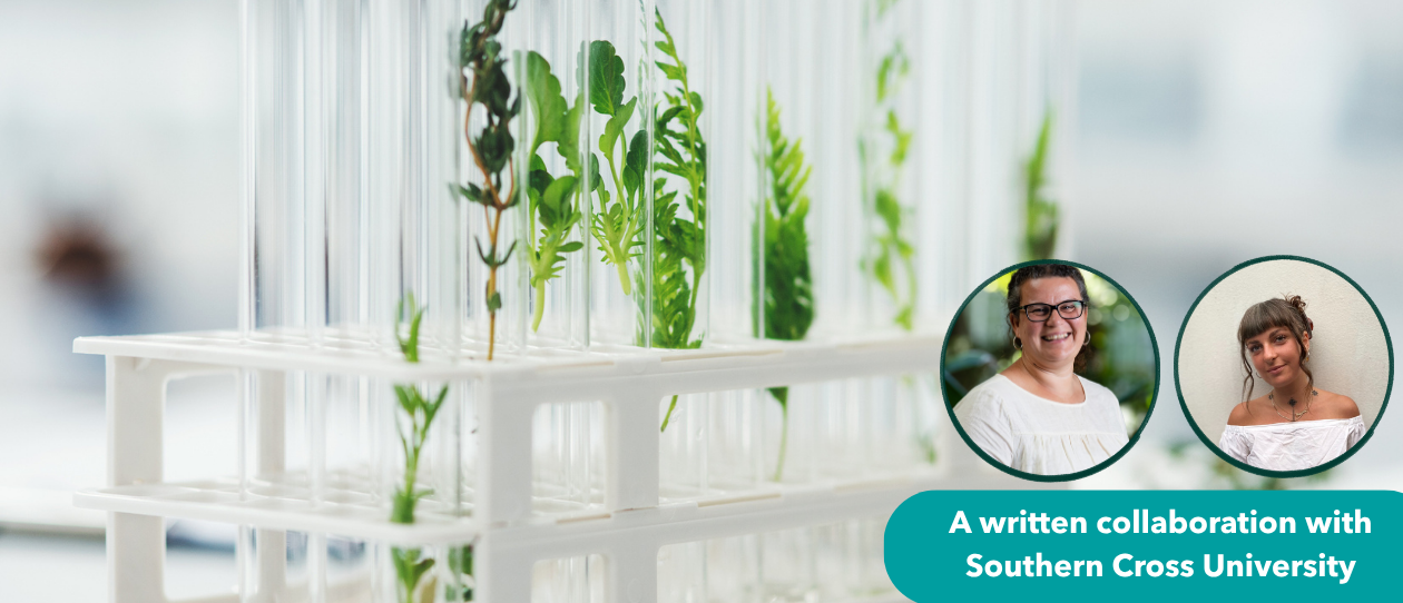 Website_Understanding the Research