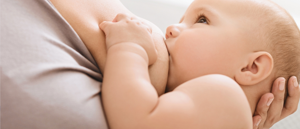 Supporting lactation with fenugreek