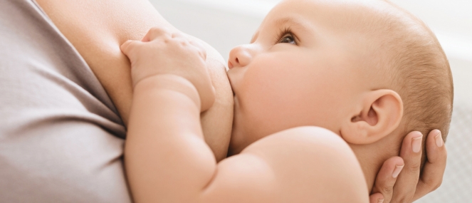 Supporting lactation with fenugreek