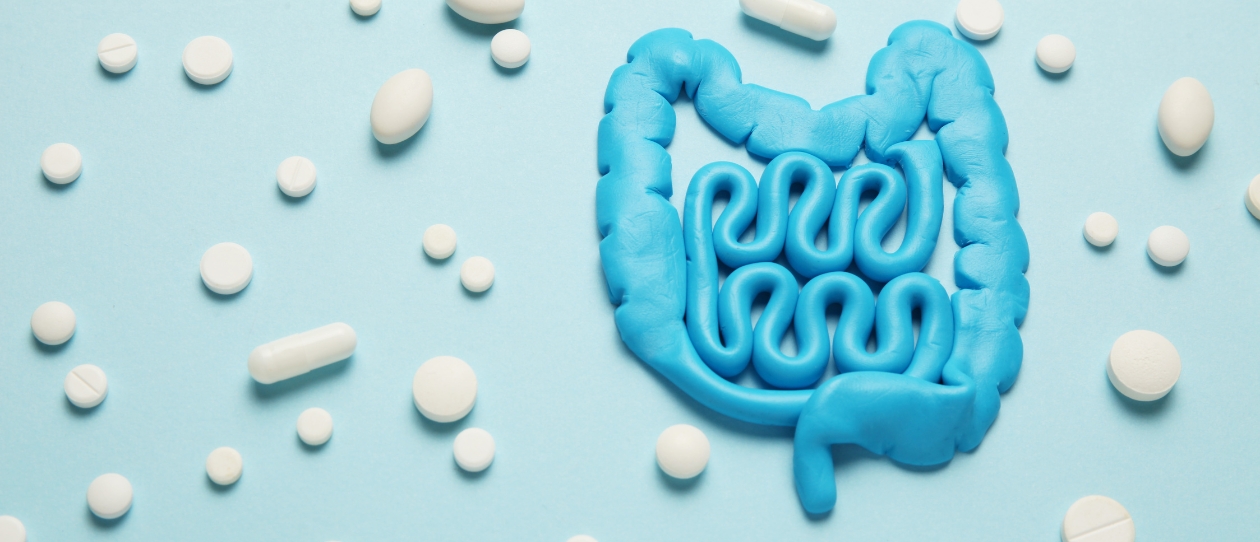 The Post-Antibiotic Effect on the Gut Microbiome 