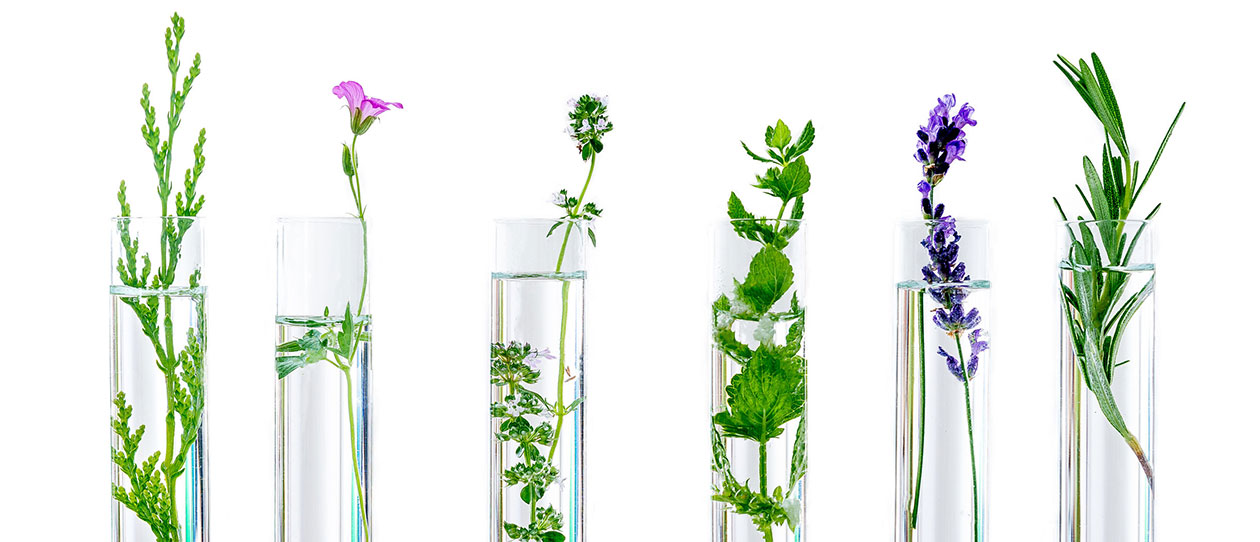 Complementary medicine use may be driven by socioeconomic status