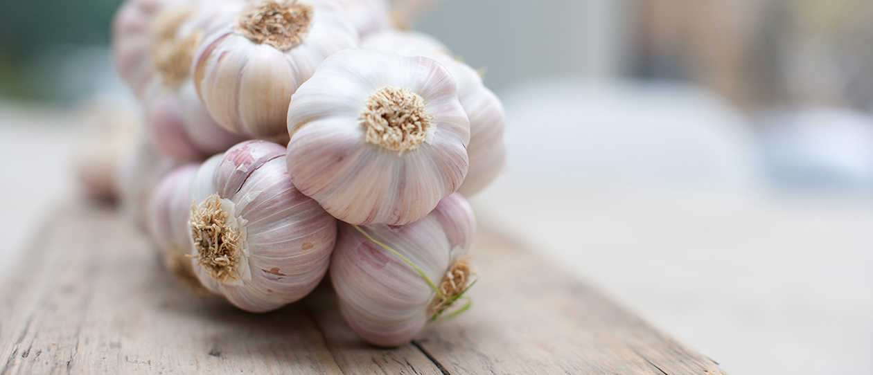 Garlic relieves rheumatoid arthritis symptoms