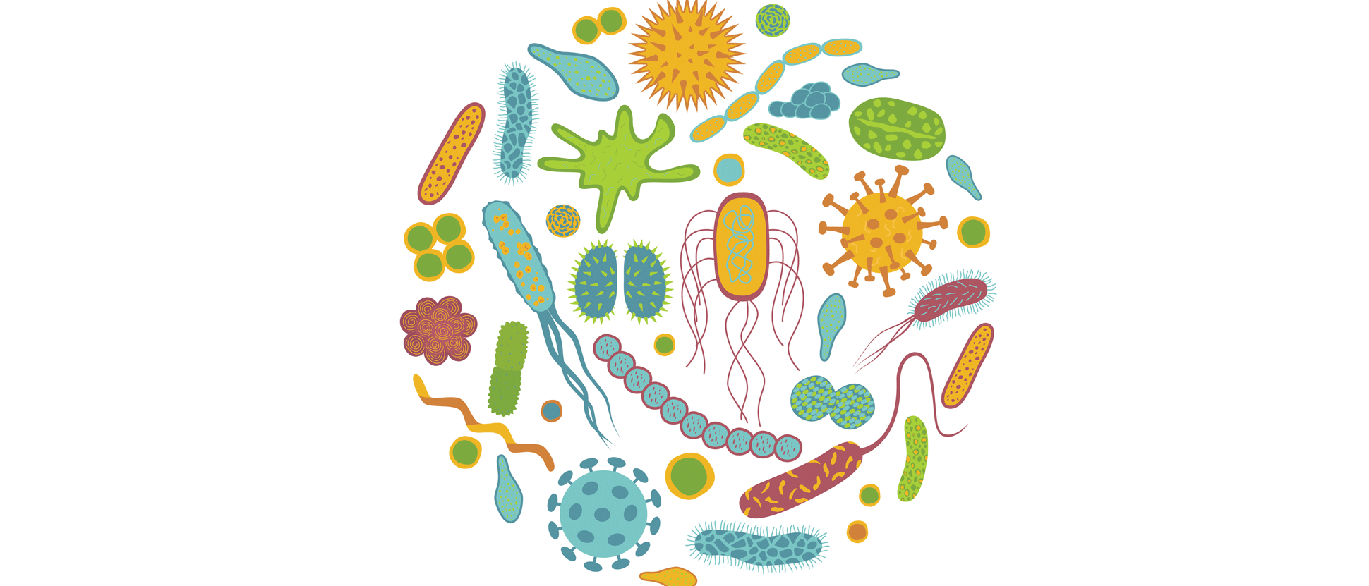 Mycobiome-probiotic-target-Blackmores-Institute