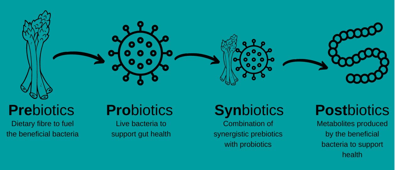 Postbiotics