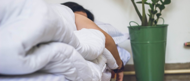 Natural sleep support