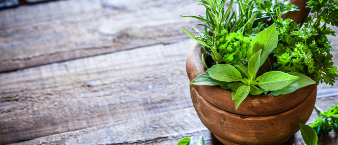 Immune-can-herbs-help_WebThumb