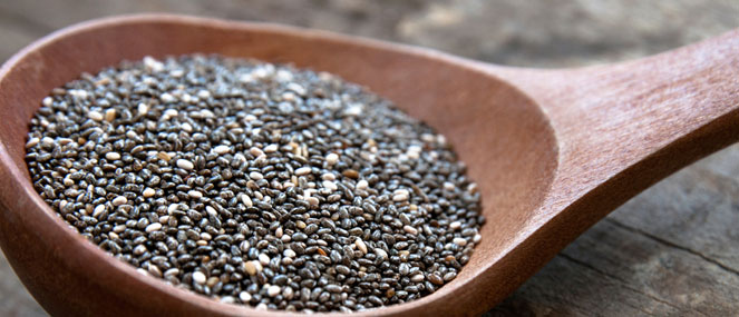 chia seed 